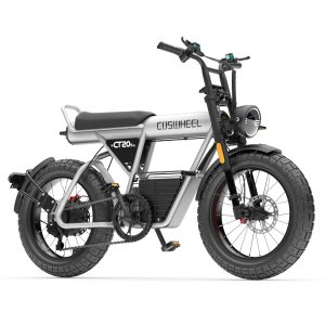 Fatbike électrique COSWHEEL CT20S – Moteur 1500W