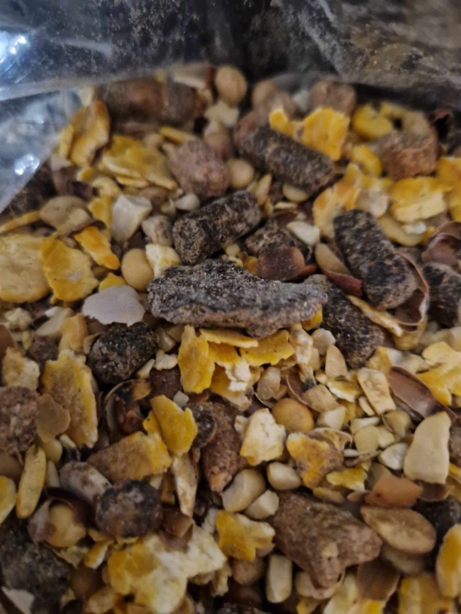 Graines toastées 10kg