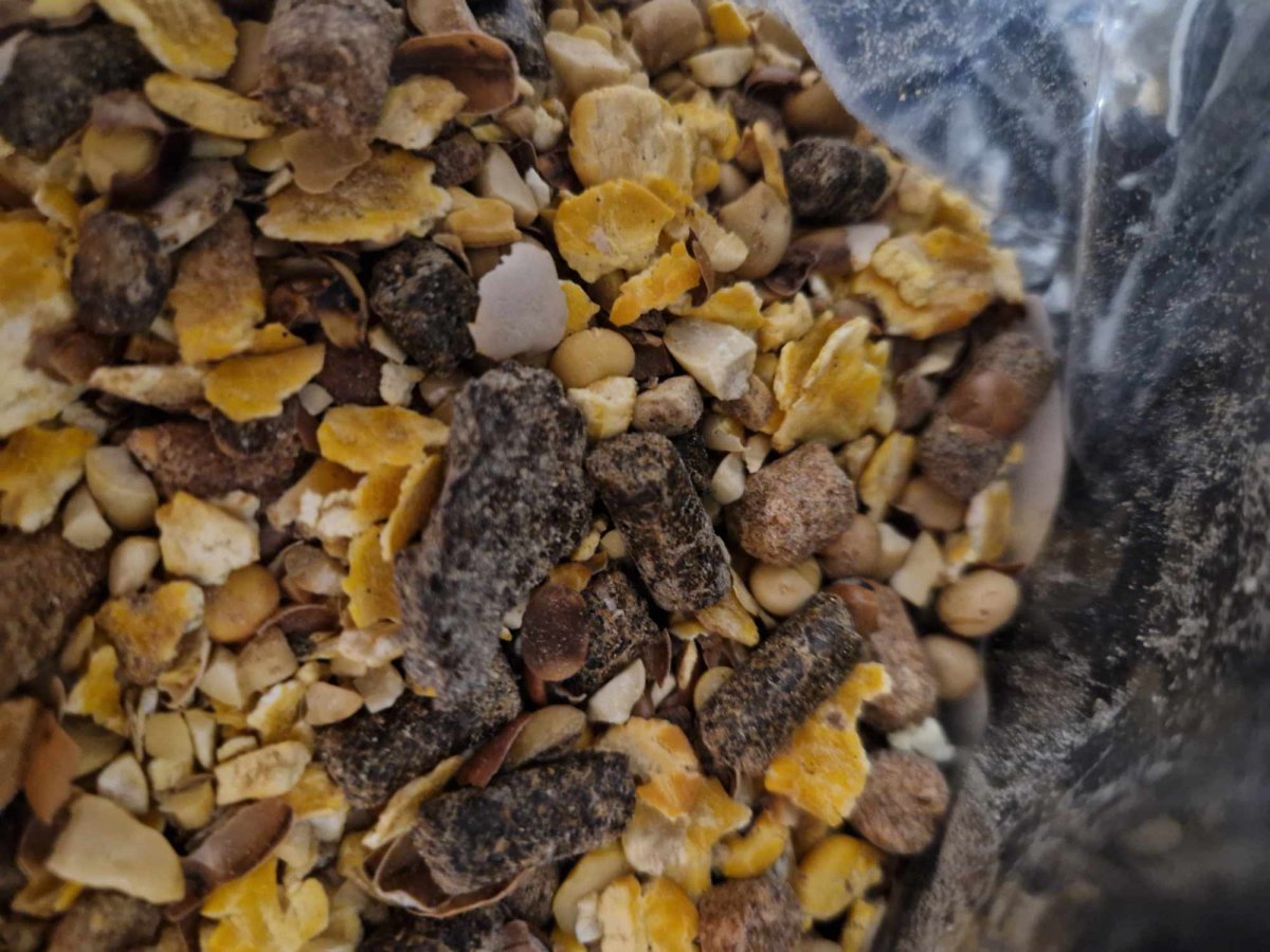 Graines toastées 10kg – Image 2