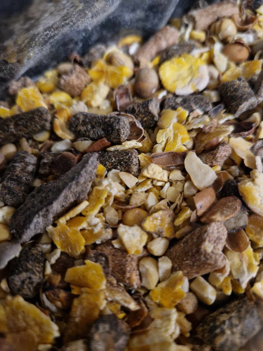 Graines toastées 10kg – Image 3