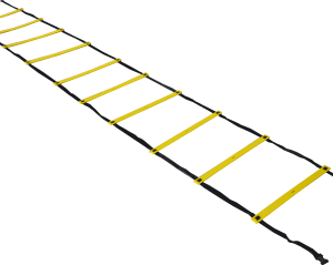 Échelle de vélocité