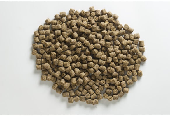 Rapid pellets – Turbo 1kg | 12mm – Image 3